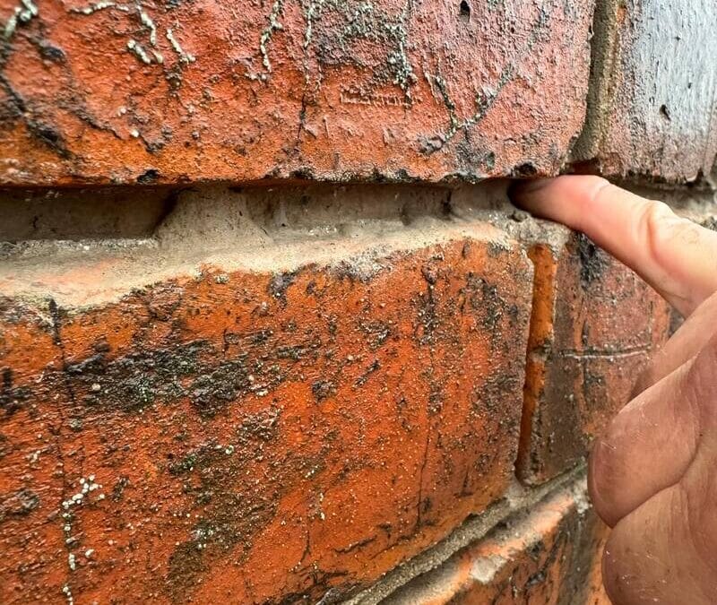 Repointing Service